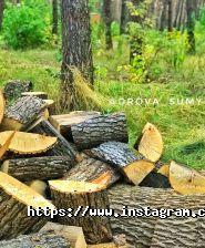 Баня на дровах на Баранівці фото