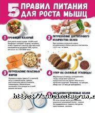 Адреналін, фітнес-клуб фото