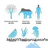 Кристал, безкоштовна доставка артезіанської води фото