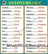 Chat, курси іноземних мов фото