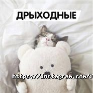 FreshLine, мережа сендвіч-барів фото