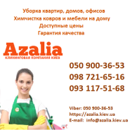 Азалия, клининговая компания Азалия, клининговая компания фото