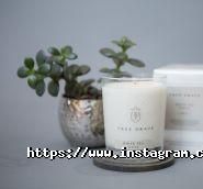 Квіткова ваніль, доставка квітів фото