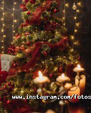 Фотостудія Loft фото