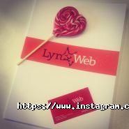 Lynxweb, створення веб-сайтівь-якої складності фото