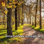 Сосновий берег, агентства нерухомості фото