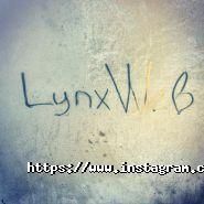 Lynxweb, створення веб-сайтів будь-якої складності фото