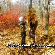 Сосновий берег, агентства нерухомості фото