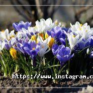 Гарпун, продажа и установка потолков фото