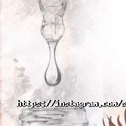 Слон Краси, студія фото