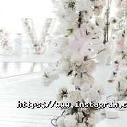 Show Centre, агентство праздничных услуг фото