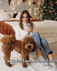 Фотостудія Loft фото