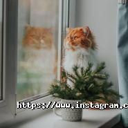 Move It, вантажні перевезення фото