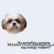 Myhelix, індивідуальні рекомендації по аналізу ДНК фото