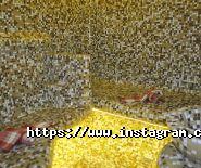 Relax, сауна фото