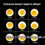 Fitunion, онлайн фітнес майданчик фото