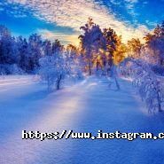 Орельский двор, база отдыха фото