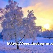 Орельский двор, база отдыха фото