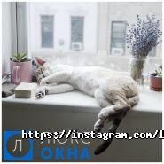 Люкс вікна, установка вікон фото