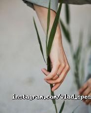 Фотограф Влад Спешилов фото