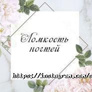 Слон Краси, студія фото