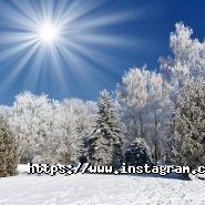 Орельский двор, база отдыха фото