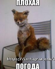 Вкомнате, квест-кімната фото