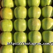 Green Food фото