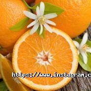 Тріоль, аптека фото