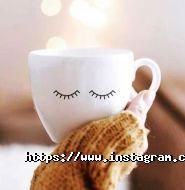 Nextbike, муніципальний велопрокат фото