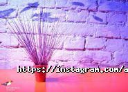 Advertising School, центр бізнес-освіти фото