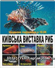 Сехмет, медична лабораторія фото
