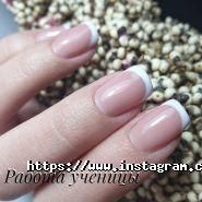 Apex by Anna Avdeeva, тренінг-центр фото