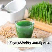 Сік паростків пшениці, бар фото