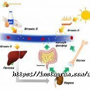 Гамма, дитяча стоматологія фото