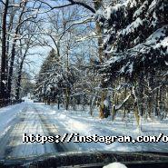 Темп, спортивний клуб фото