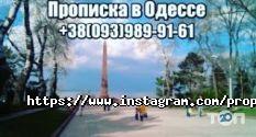 Id паспорт, міграційна фірма фото