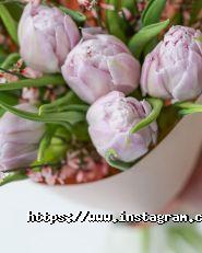 Ptaha, квіткова майстерня, доставка квітів фото