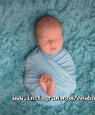 Фотостудія Лелека фото