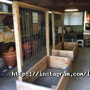 Любовь-Морковь, бар фото