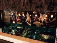 Косатка, кафе фото