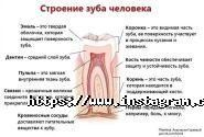 Dentis, стоматологічна клініка фото