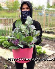 Любовь-Морковь, бар фото