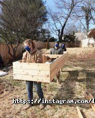 Любовь-Морковь, бар фото