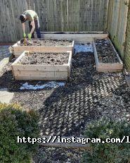 Любовь-Морковь, бар фото