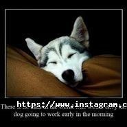 Deir, бюро провулок екладів фото