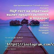 Чемодан, туристская компания фото