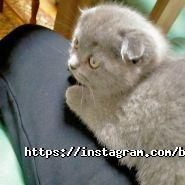 BeautyFree, салон краси фото