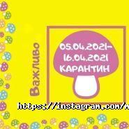 МашRoom, центр раннього розвитку фото