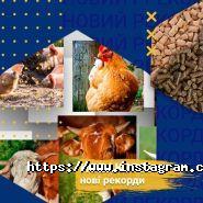 Новаагро, агропромышленная компания фото